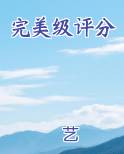 完美级评分