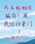 第一章两年的婚姻