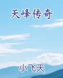 天峰传奇攻略