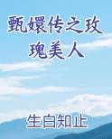 甄嬛传之玫瑰美人话本小说