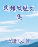 折翅的凤凰