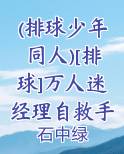 排球少年的同人文推荐