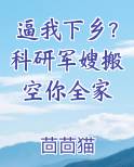 逼我下乡？科研军嫂搬空你全家全文免费阅读