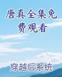 唐砖电视剧免费观看
