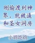 刚偷渡到神界，就被逼和圣女洞房