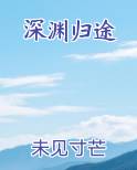 深渊归途