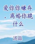 爱你你嫌弃，离婚你跪什么在线阅读