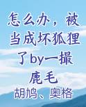 怎么办，被当成坏狐狸了by一撮鹿毛