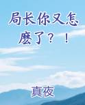 局长您好