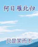 何日雁北归