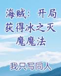 海贼:开局获得冰之灭魔魔法的小说