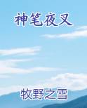 神笔夜叉免费小说