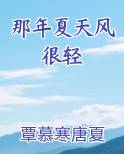 那年夏天风吹过的所有歌曲