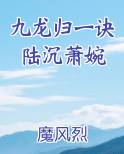 陆沉九龙归一诀