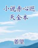 小说赤心巡天全本