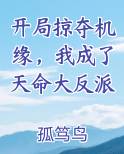 开局掠夺机缘我成了天命大反派