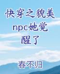 快穿美貌值