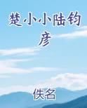 楚小小陆钧彦